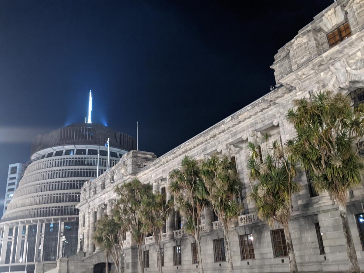 NZ Parliment Earth Hour 2021 